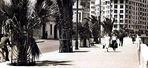 ORAN - BOULEVARD FRONT DE MER3